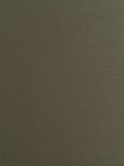 VITALE BARBERIS CANONICO SUPER 120’s – SUITING FABRIC -Made in Italy- 3.3m
