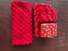 Miscellaneous Random Fabric Scraps MINKY CUDDLE DOT ROSEBUD PRINTS COLOR THEMES