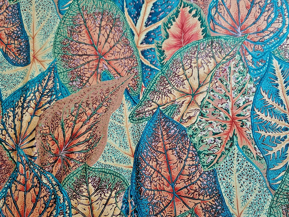 Free Spirit Kaffe Fassett Phillip Jacobs PWPJ108 Caladiums 32″ x 44”