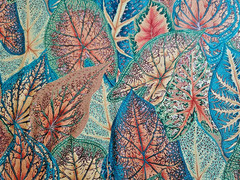 Free Spirit Kaffe Fassett Phillip Jacobs PWPJ108 Caladiums 32″ x 44”