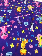 Purple My Little Pony Fabric Remnant Pony Names Cotton Quilting 14” F27