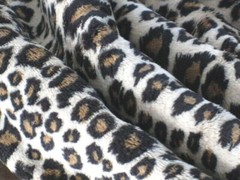 BABY LEOPARD CHEETAH MINKY CUDDLE SILKY PLUSH SEW QUILT CRAFT FABRIC BTY+PRECUTS
