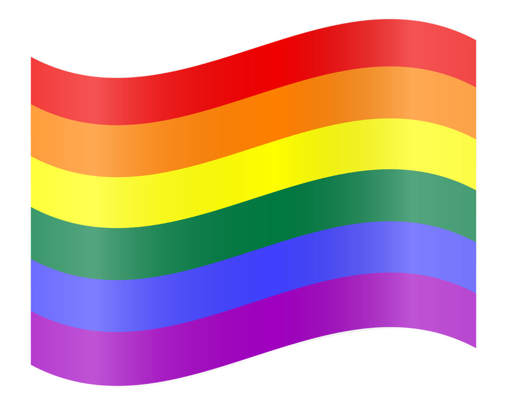 Pride #4 – 8″ x 10″ – T Shirt Hoodie Iron On Transfer