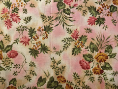Beth Ann Bruske for David Textiles 100% Cotton Fabric Floral Pink & Cream 2 Yds