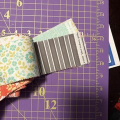30 Jelly Roll Pieces Of 2 1/2” Cotton Quilt Fabric Moda Peach Corey Yoder Floral
