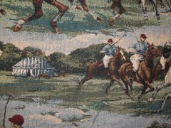 Polo Match Turf