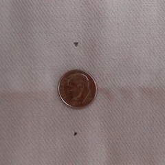 Blush Colored Brushed Twill, Several Very Tiny Holes, Please See Pictures