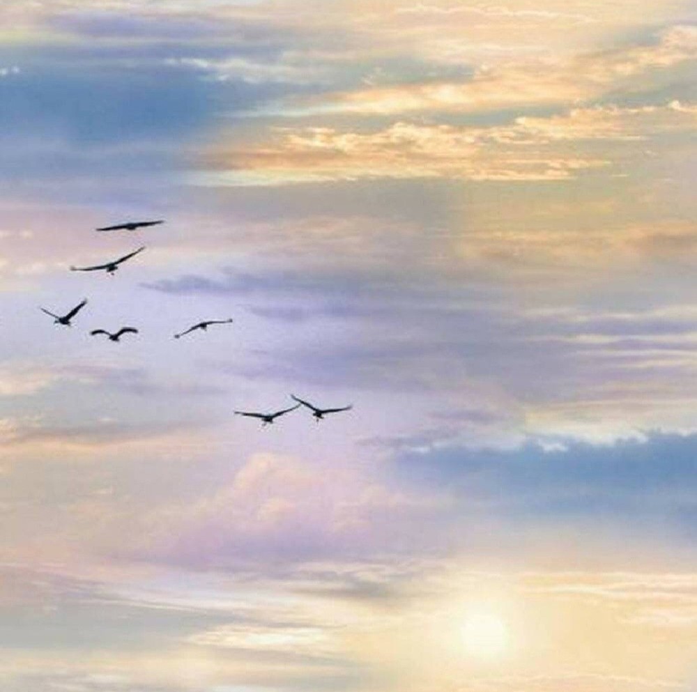 Elizabeth Studio Landscape Medley Morning Sunrise Sky Cotton Fabric by the Yard