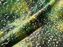 CASSARO PO2194/02 Pomona Velvet Emerald Viscose Poly Velvet Fabric Italy BTY