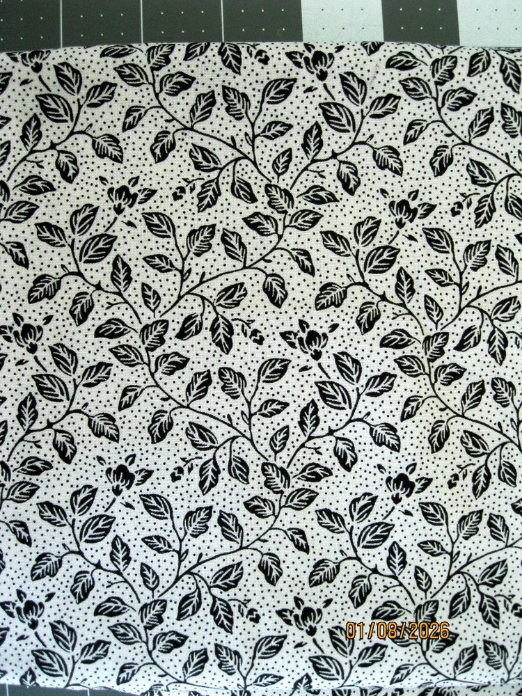 White background with black leaves