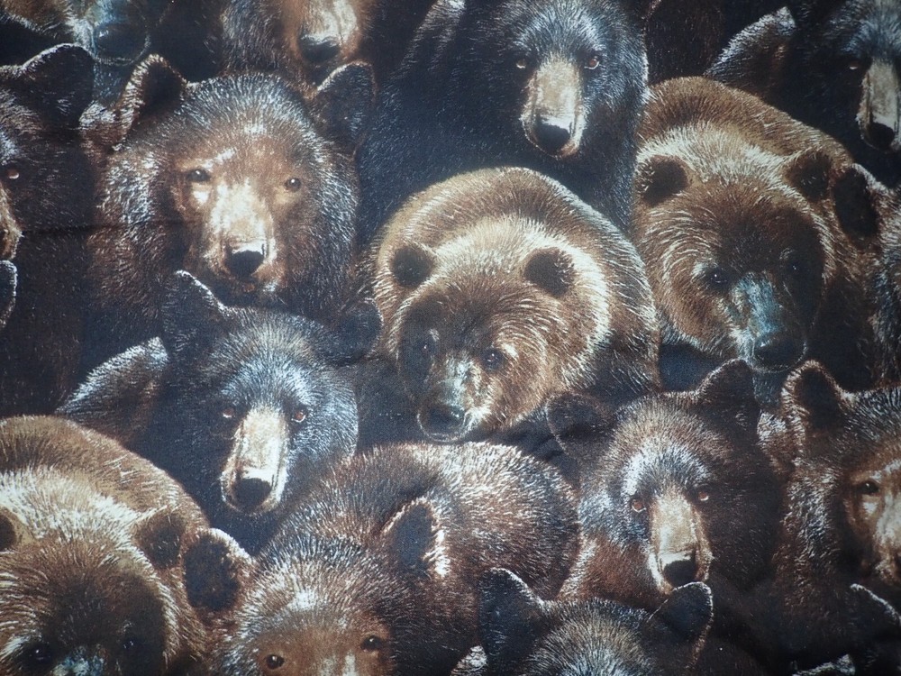 2.5 yds Bear River Kevin Daniel Wilmington Prints Cotton Fabric Realistic New