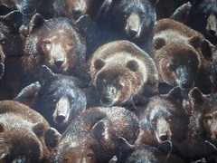 2.5 yds Bear River Kevin Daniel Wilmington Prints Cotton Fabric Realistic New