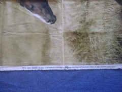 Wide Open Spaces Running Horses Panel Hoffman International Fabrics 43×35 In