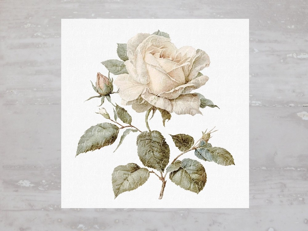 Beautiful Single Shabby Chic Ivory Rose Fabric Panel Sewing Quilting Block A207