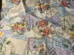 Timeless Treasures “Poetic” CM-3127 Cotton Quilt Fabric Travel, Floral BTHY
