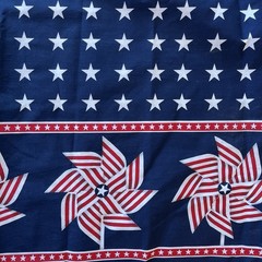 WIDE Pinwheel Double Border Patriotic American Stars Stripes Daisy Kingdom 3 Y
