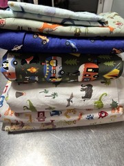 Kids Fabric Lot 9 Pieces Flannel Minky Cotton Lions Dinosaurs Camping Cars Fox