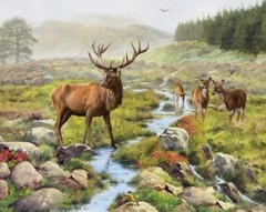 David Textiles – STAG Digital Quilting And Crafting Fabric Panel With Deers