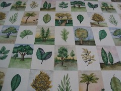 1 of 3 yds WAVERLY Fabric ARBOR DAY Two by Two TREE Block Cotton 54″ x 36″ BTY