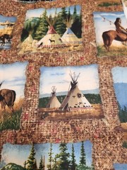 45×48 Tribal Pride American Indian TP Warriors Horse Panel Cotton ’90 Cranston