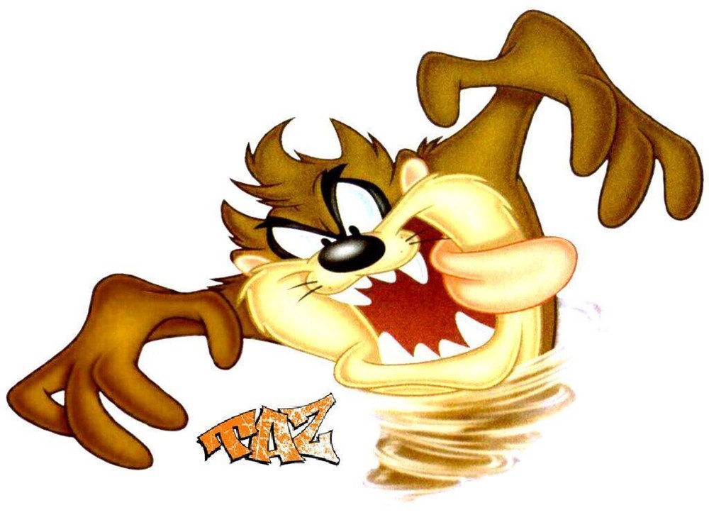 Taz # 10 – 8 x 10 – T Shirt Iron On Transfer