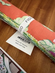 July 2026 Sew Sampler Botany DAISY CRUSH Jr Jelly Roll & Pattern