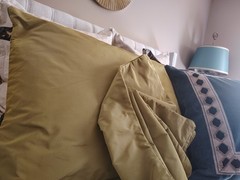 Eastern Accents iridescent silk taffeta Chartreuse Std. Pillow Shams Nwot