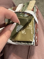 Trek By Sara Boccaccini 12 Piece Fat Quarter Bundle By FIGO