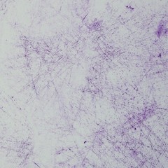 1M X 1.60M Cotton Jersey Breeze White-Purple Thorsten Berger!