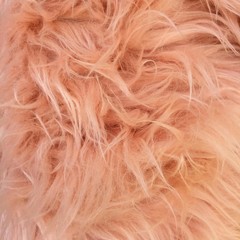 Eden PEACH Shaggy Long Pile Soft Faux Fur Fabric by the Yard