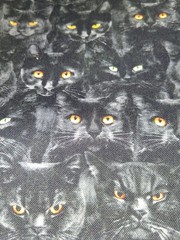 Wicked Black Cats By SOHO Fabrics 2 Yards!