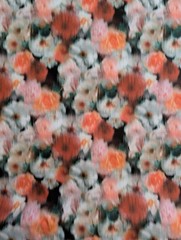 LIBERTY OF LONDON Hazy Days Floral Tana Lawn Cotton Fabric 26-LL11