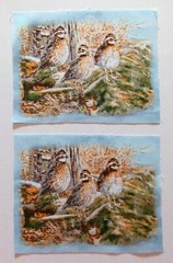 Cotton Fabric Quails on Floor of Woods – 2 Pieces – Pic E = 5″L x 6 1/2″W