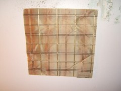 Beacon Hill, Bessemer Plaid, 100% Silk Plaid, Various Colors Available