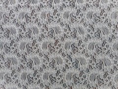 Lace Nylon Corded Paisley Shape Design Off-White Soft Drape One Piece Odd Size
