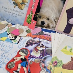 Junk Journal Lot 1Lb Ephemera Kitschy Kid Card Book Page Craft Collage Juvenile