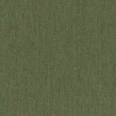 Sunbrella® Outdoor/Indoor Upholstery Fabric 54″ Canvas Fern 5487-0000