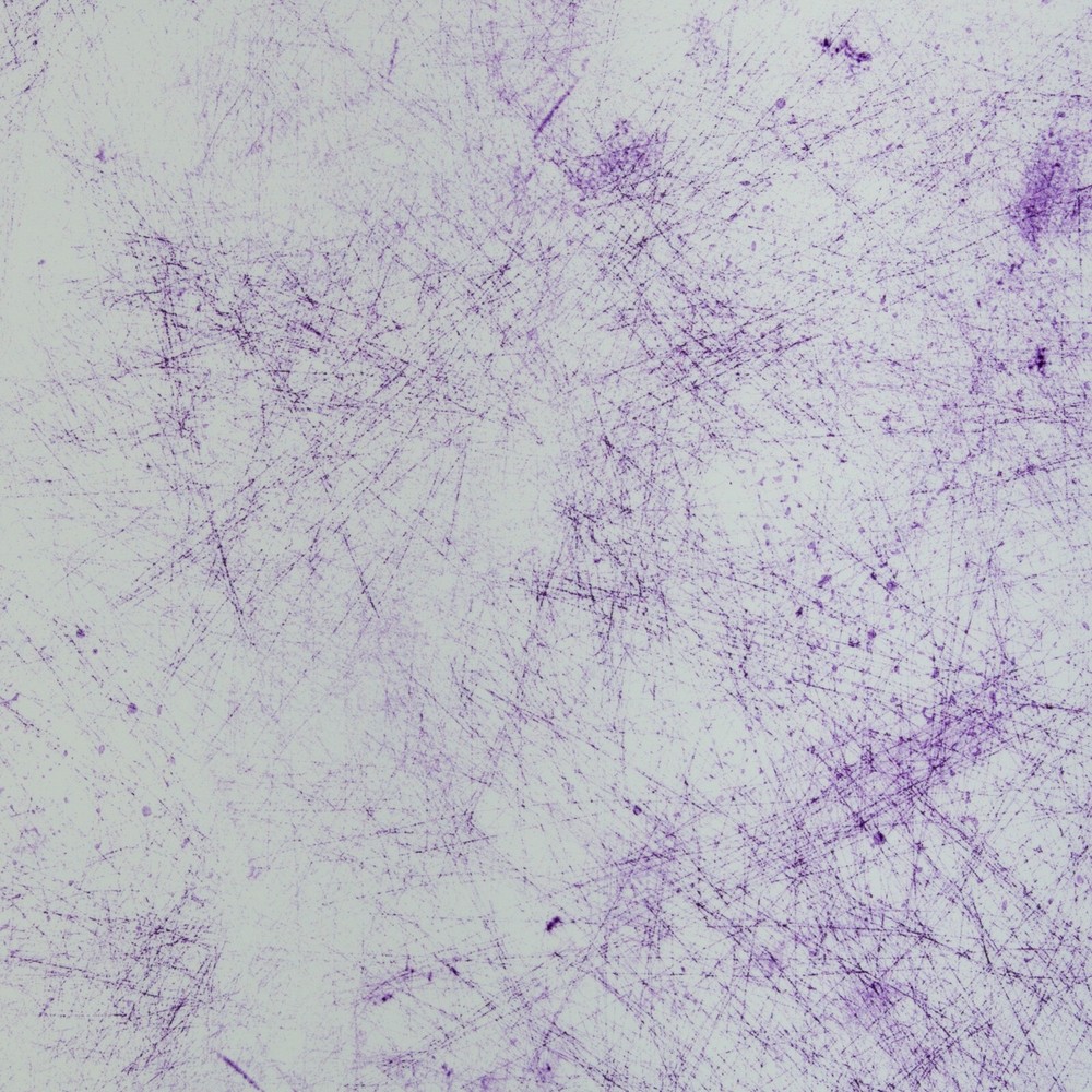 1M X 1.60M Cotton Jersey Breeze White-Purple Thorsten Berger!