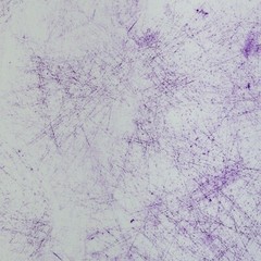 1M X 1.60M Cotton Jersey Breeze White-Purple Thorsten Berger!