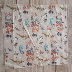 Peter Pan Wendy Fabric 9″ x 9.5″ Crafting Sewing Length Piece New