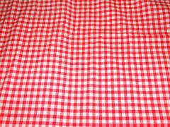 Gingham Print Fabric Coral Pink 3 YDS 58″ X 108″