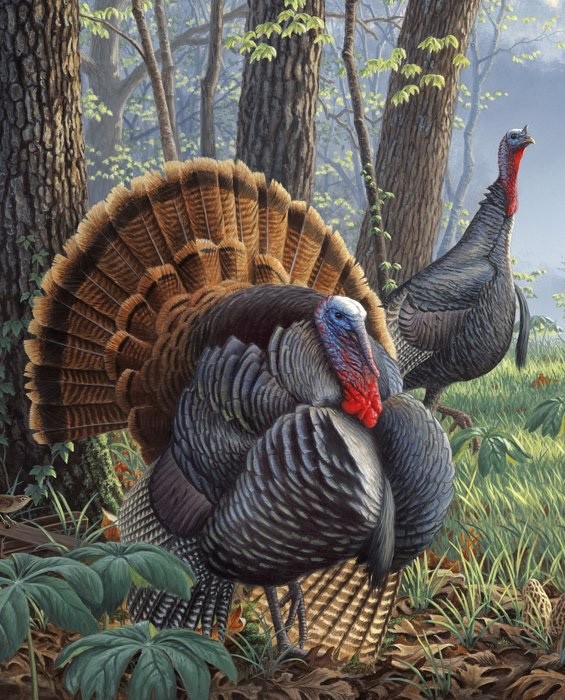 Wild Turkeys Fabric Panel Cotton 36 inches X 45 inches