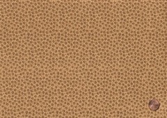 Brown Camel Golden JELLY ROLL: 20) 2 1/2″ x 44″ Strips, 100% Cotton Fabric
