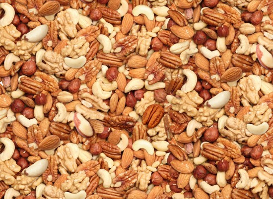 Food Festival Fabric | Mixed Nut Print Brown | Elizabeth’s Studio YARD