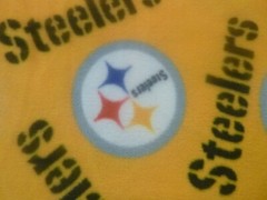 NFL Fleece Fabric- Pitt Steelers Yellow Toss (60 inches wide by 36 inches long)