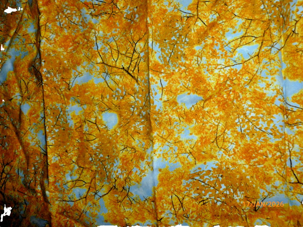 Timeless Treasures Fabrics of SOHO Fall Sky Autumn 1/2 yd