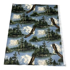 Vintage Hautman Souring Eagle Rock Mountain River Material Fabric 45”x56.5 1 Yd+
