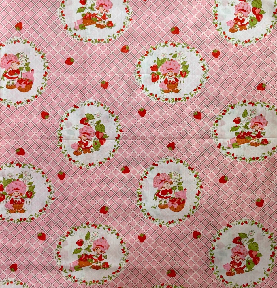 VINTAGE 1980s Strawberry Shortcake on Pink – BTHY: 18” x 44”