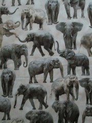 ELEPHANT REALISTIC ELEPHANTS CREAM COTTON FABRIC FQ