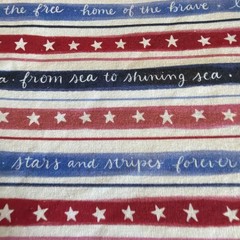 36” Of Cotton Land Of Free (640)